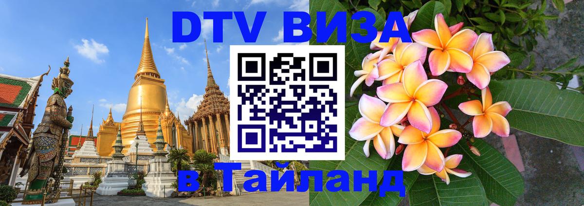 Сколько стоит DTV виза — актуальные цены, оформление даже без документов - Мурино  19.11.2025 